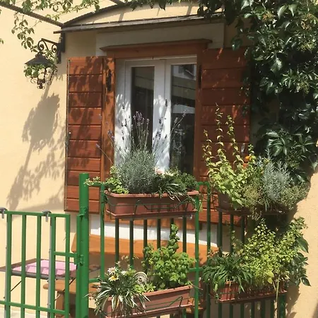 Paulina Split